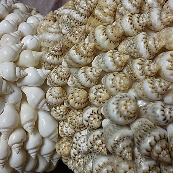 Seashell Easter Bunny Rabbit - Picture 5 of 7